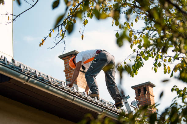 Best Roof Gutter Cleaning  in Hudson, CO