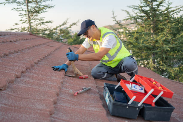 Best Commercial Roofing Services  in Hudson, CO